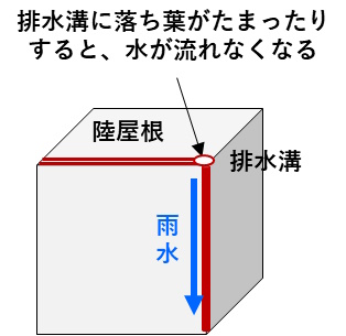 陸屋根・落ち葉がたまると、排水できなくなる