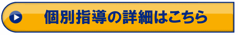 個別指導はこちら
